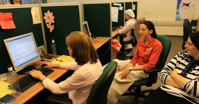 Many of the ingredients sold in The Spicy Way teas are grown at the company's organic fields in the Galilee.