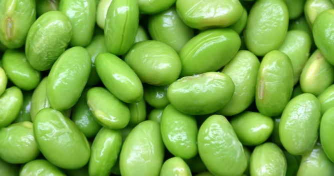 Clinical trials on breast cancer patients are now beginning in Canada to see whether soy can help prevent chronic pain.