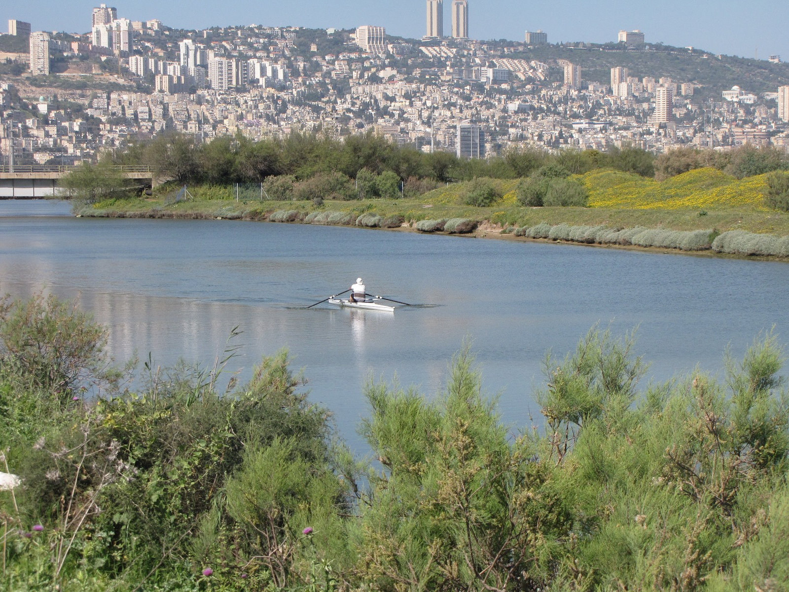 The Kishon River. Photo by Kishon River Authority