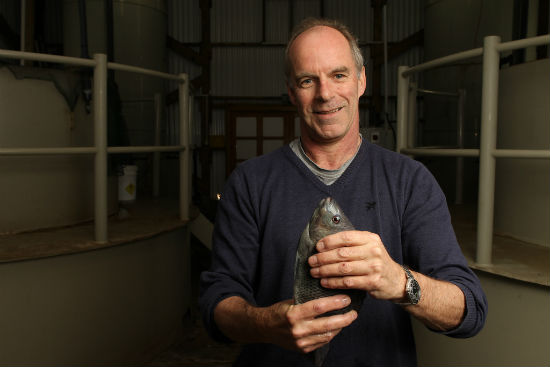 Jaap Van Rijn Jaap Van Rijn