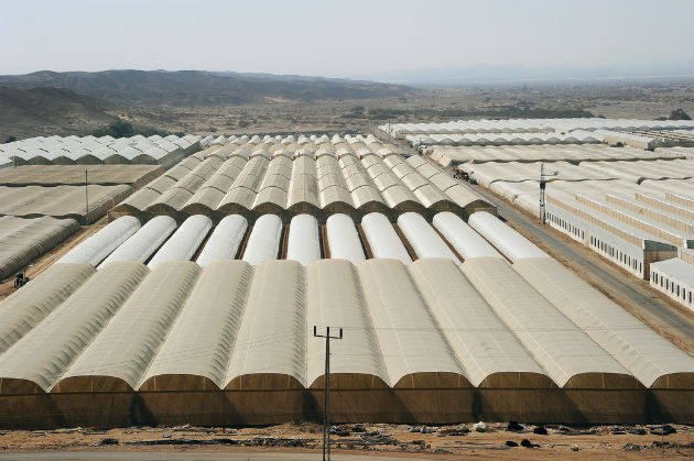 arava-greenhouses Arava greenhouses. Photo by Eyal Izhar