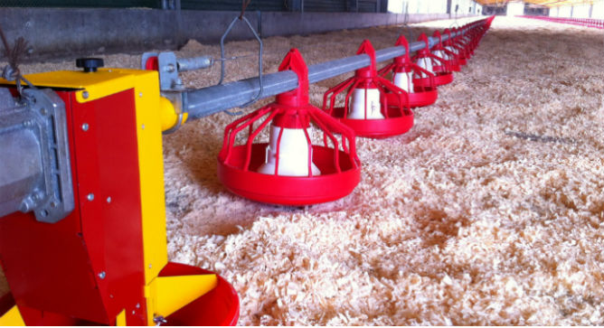 Ziv Dubinsky’s Metabolic Robot cuts down on food wastage and mortality rates.