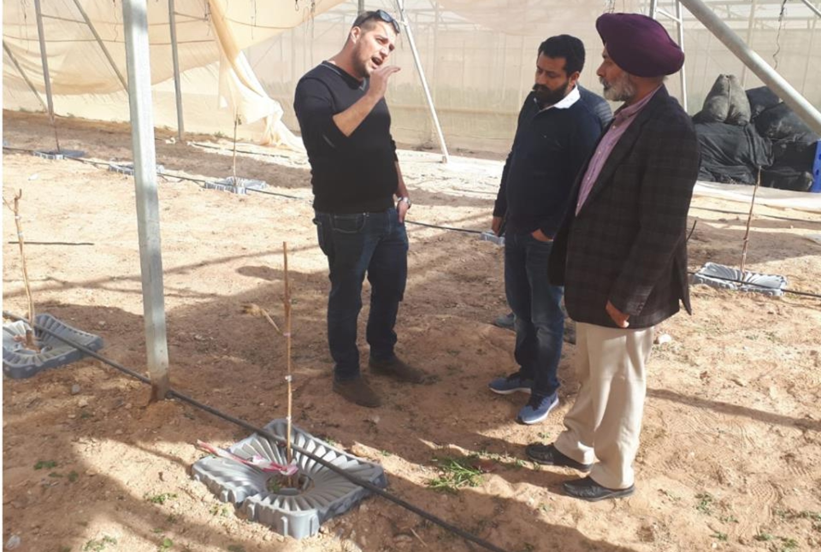 In January 2019, academicians from Punjab Agriculture University, India, came to see Tal-Ya in use at the Arava R&D Center in Israel. Photo: courtesy