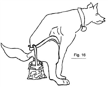 dog Another invention with patent pending is a low-tech device for hands-free collection of dog droppings.