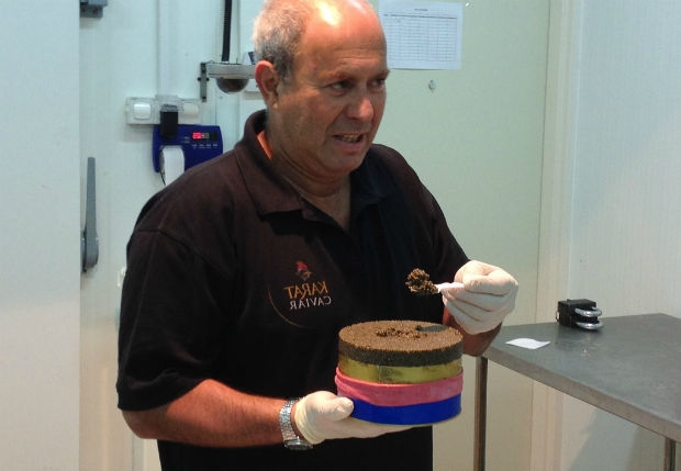 Ben-Tzvi tasting freshly harvested eggs.
