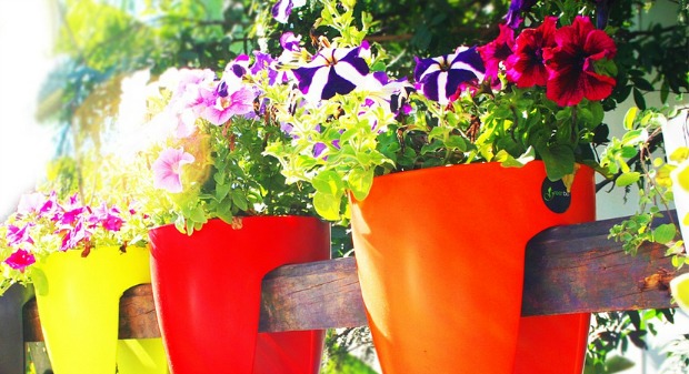 Greenbo’s unique design won a Red Dot Award.