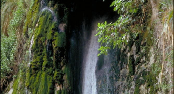 Nahal David waterfall in Ein Gedi. Photo courtesy of Israel Tourism Ministry