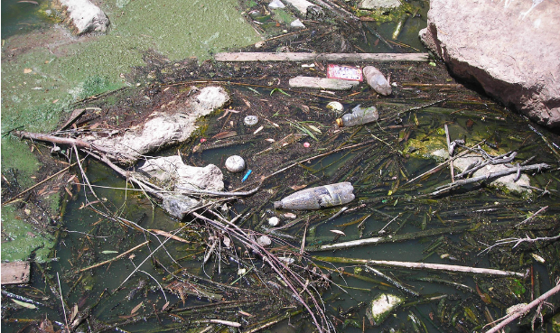 zalul-sorek The sorry condition of the Sorek River.