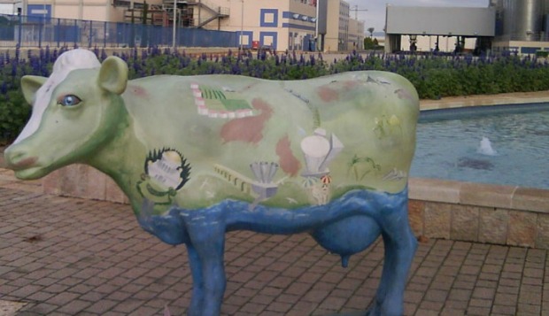 A cow welcomes visitors to Tnuva.
