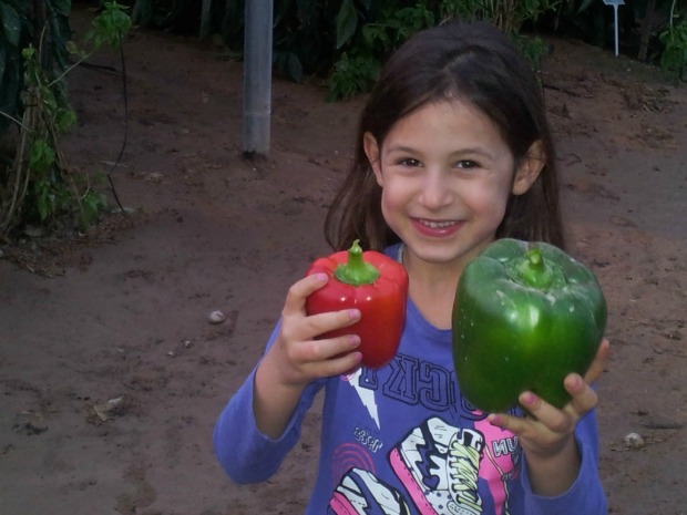 Godzilla, the pepper