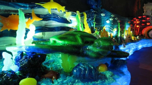 Underwater world in ice. Photo by Sharon Shalev