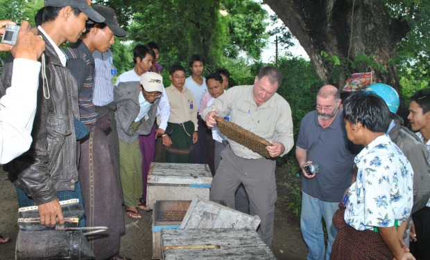 Tag Senior Program Manager Shaike Stern, a beekeeping expert, ran a beekeeping course in Myanmar.