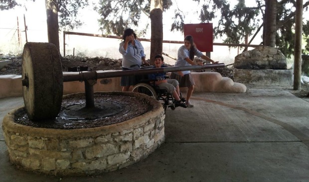 At Emek HaShalom, people with disabilities can press olives and grapes.