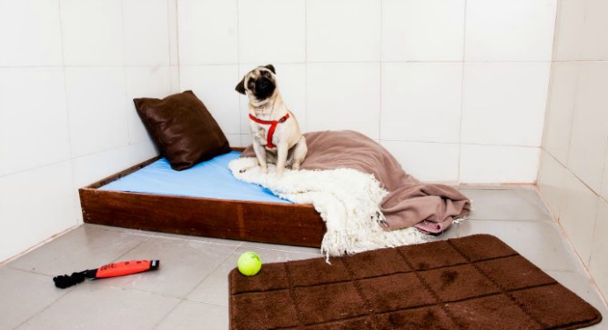 Pablo gets comfortable in his room at KelevLand.