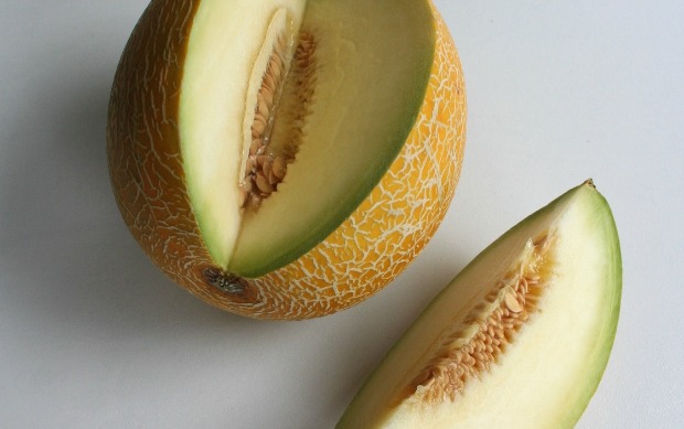 galia-melon A Galia melon.