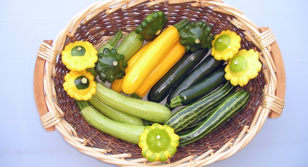 summer-squash Goldy zucchini are in the middle of this basket of squash. Photo by Harry Paris