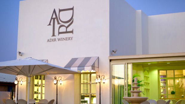 Boutique wine and cheese.