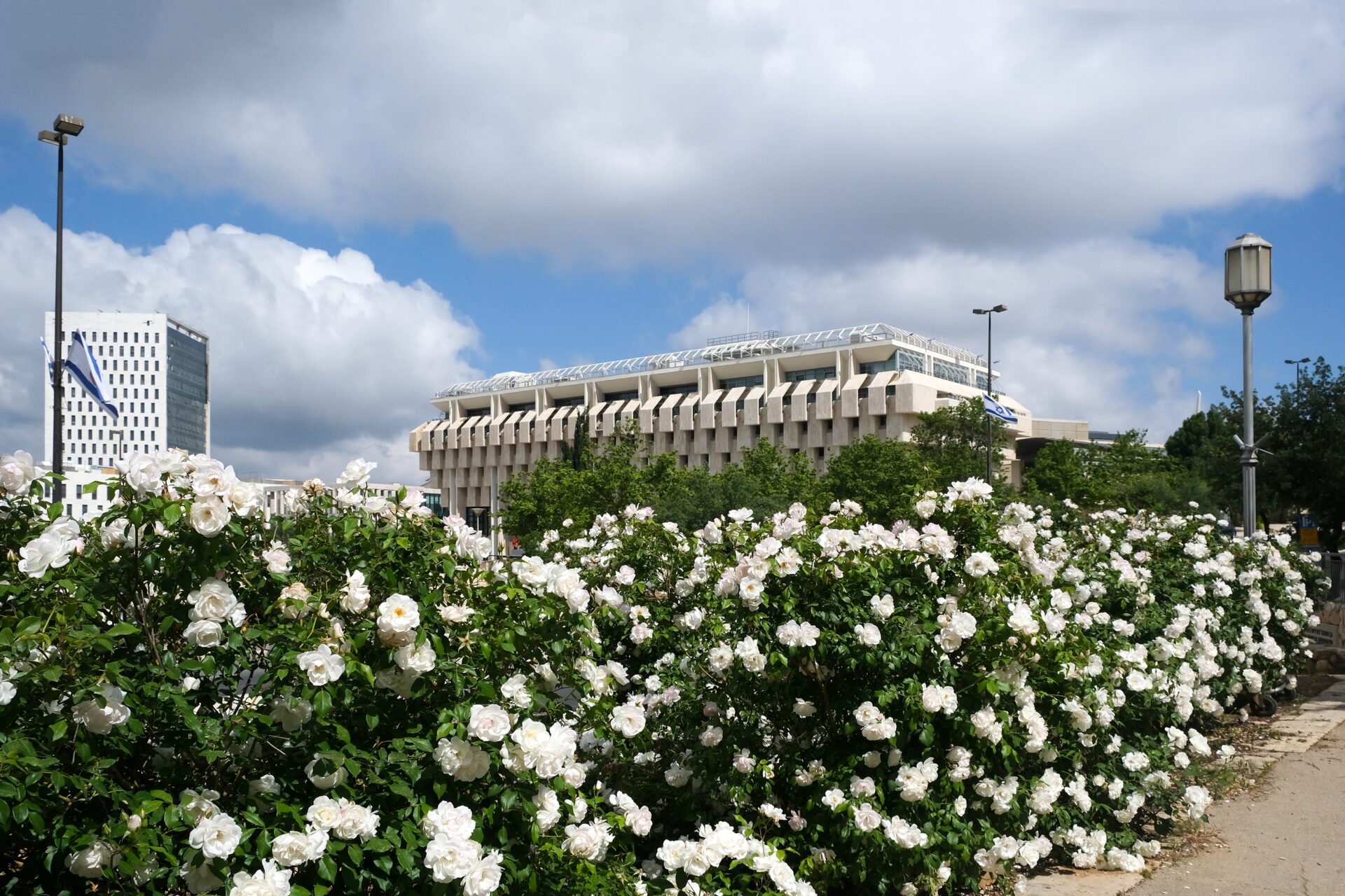 The Wohl Rose Garden is an elegantly quiet park full of beautiful roses that sometimes turns into a protest site opposite the Knesset. Photo by Irina Opachevsky / Shutterstock The modern Knesset building in Jerusalem with a unique geometric facade stands against a partly cloudy sky. In the foreground, a lush hedge of white blooming roses is the focus of the photo, adding contrast and vibrancy to the scene.