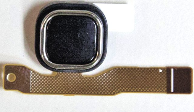 bionic-contact-lens Prototype of the bionic contact lens invented in Israel.