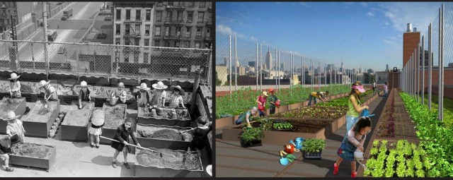 The Fifth Street Farm project.