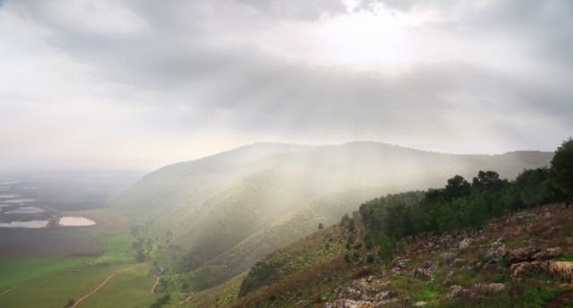 gilboa-view2 The Gilboa in bloom. Image via Shutterstock.com