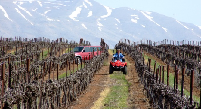 Making wine in the Golan.