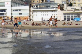 Jellyfish beach