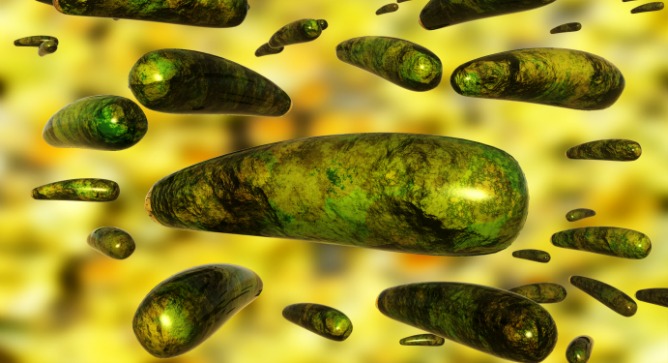 Viruses can outsmart the immune system. Image via Shutterstock.com