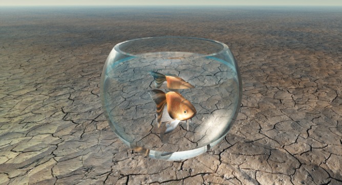 Raising decorative fish in the desert isn’t such a far-fetched idea. Photo via Shutterstock.com