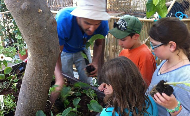 amos-zruk Store manager Amos Zruk running a planting workshop.