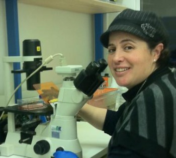 Regina Golan-Gerstl, Ph.D.