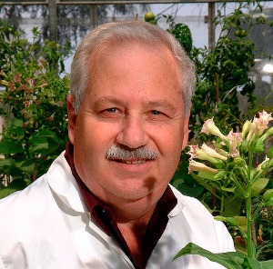 Gepstein and his team in the greenhouse.