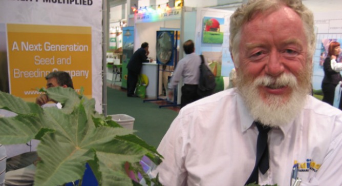 Former Kaiima product manager Ariel Krolzig with castor oil plants used for biofuel. Photo by Karin Kloosterman