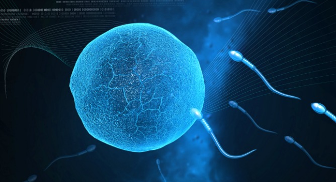 Testosterone therapy improved the sperm count and quality of an Israeli man suffering from infertility. Image via Shutterstock.com