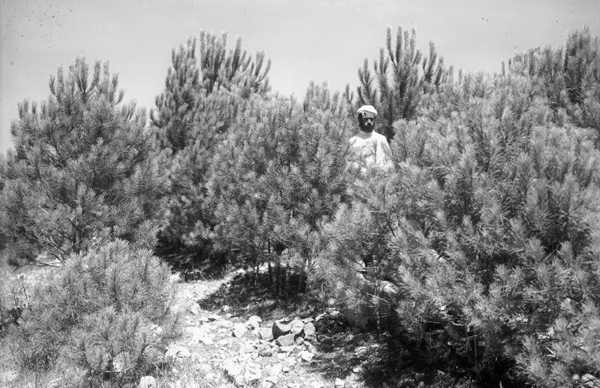 Rishon-LeZion-Photo-Festival-14_KKL-archive-600px