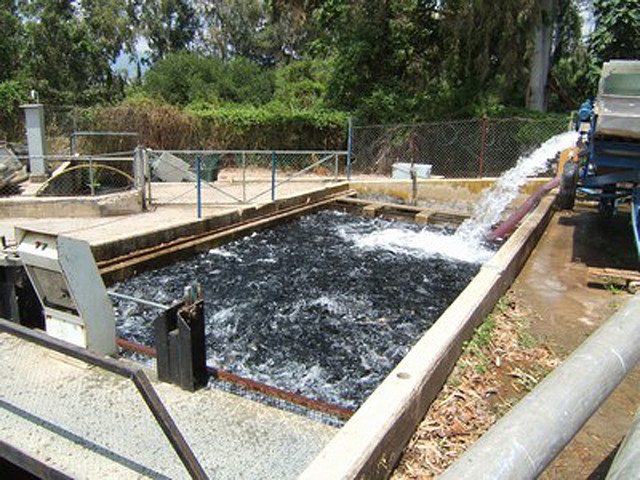 A typical Israeli fish farm.