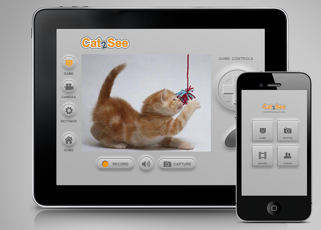 Never miss a kitty moment again.