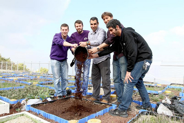 Pouring the grounds on the ground. 