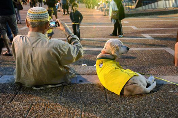 Maccabi Euroleague win 201 Mario Troiani - 1