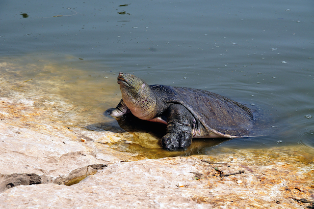 shutterstock_32760571