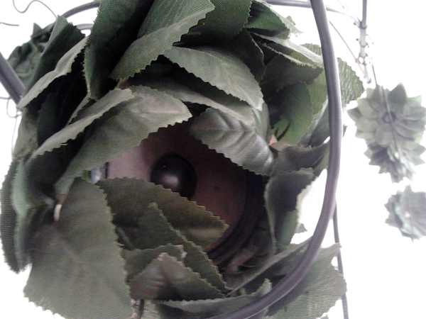 Omanutaasia_natalie mandel (54)