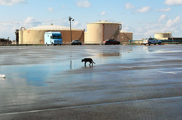 Esty-Meidan_Reading-Terminal_5