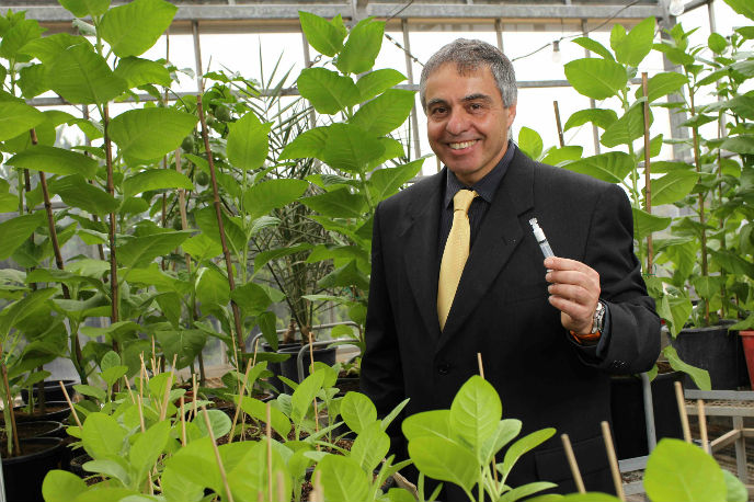 Prof. Oded Shoseyov of CollPlant. Photo by Nati Shohat