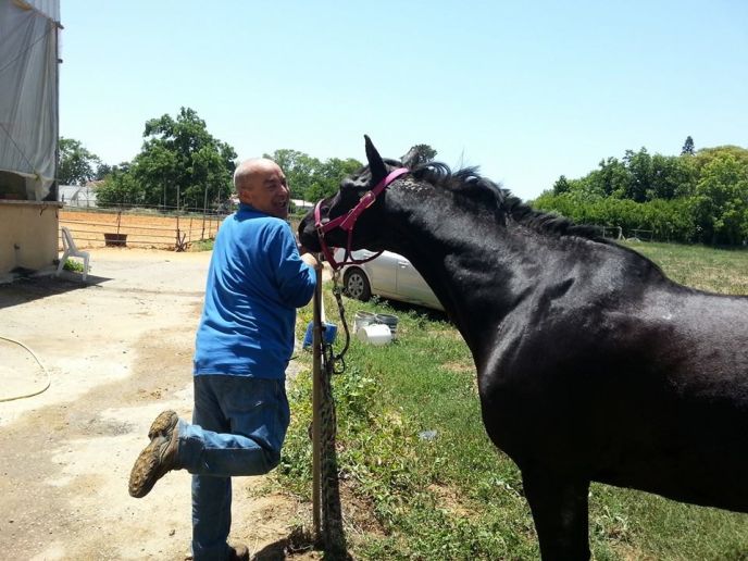 Yossi Shemtov, a soldier with PTSD, often came back after his course of treatment to visit his horse.
