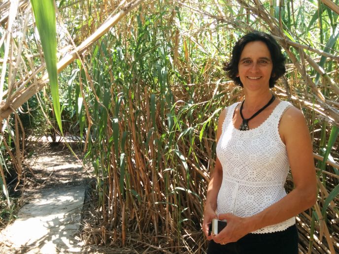 Prof. Noga Kronfeld-Schor