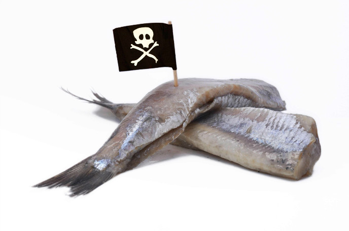 Image via Shutterstock.com.