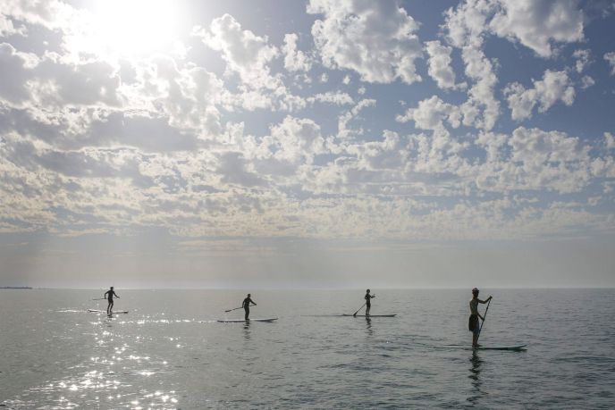 photo of the week is by Maxim Dinshtein, Flash90.