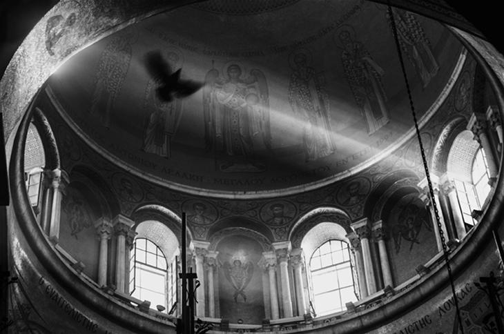 local-testimony_guy-cohen_1