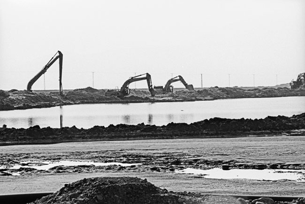 Elisheva-Shaked_Dead-Sea_5