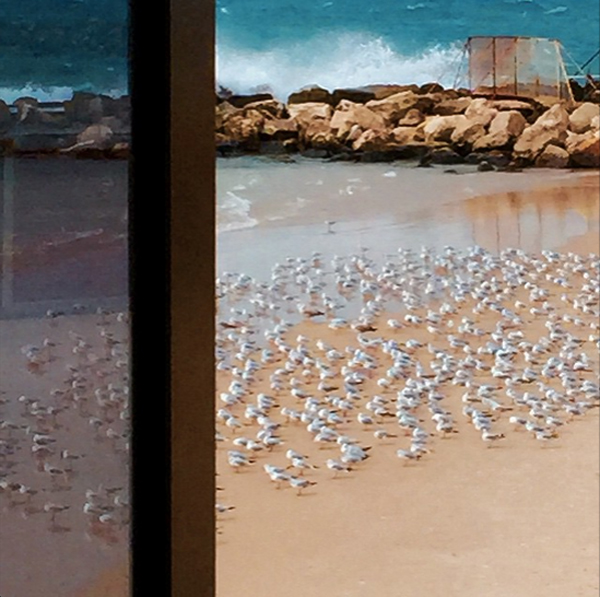 Elyssa-Frank_TLV-storm_6